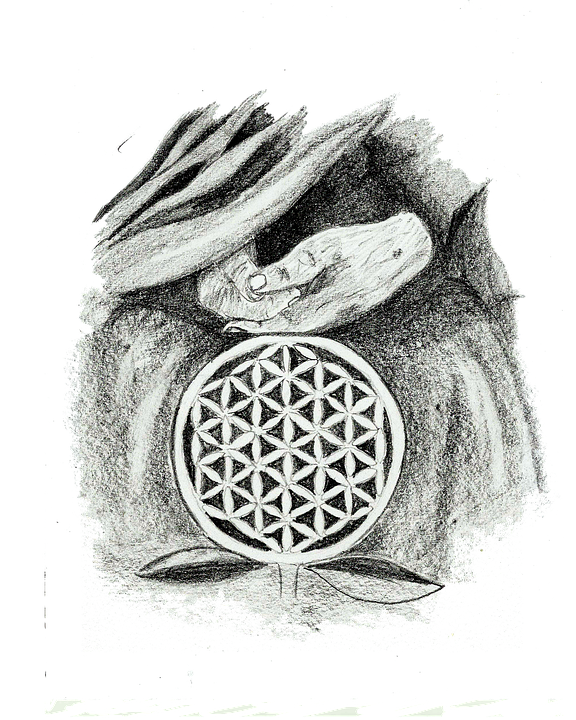 the flower of life